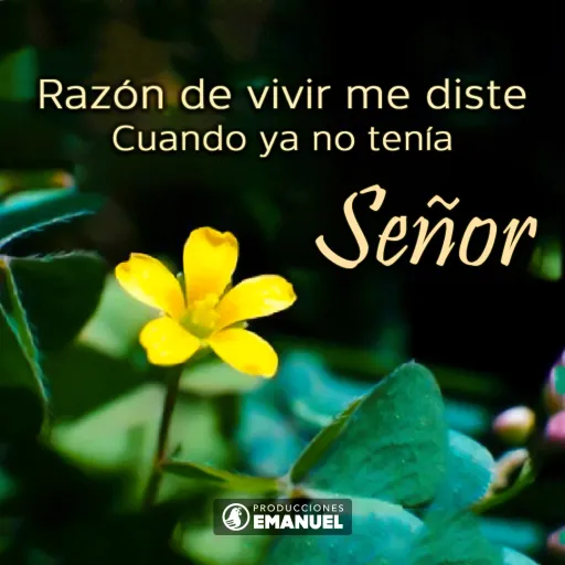 Verso del día - Cita Biblica - 2019-08-12.webp